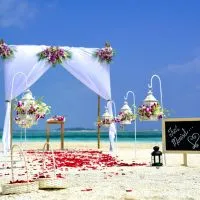 Luxury Wedding Decoration